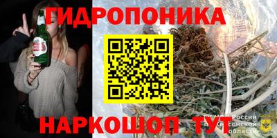 Альфа ПВП Будённовск